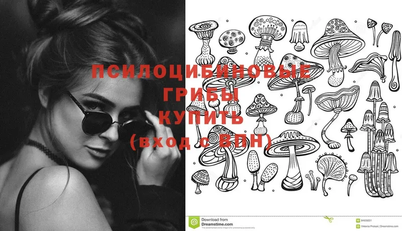 Галлюциногенные грибы Cubensis  где продают   Ишим 